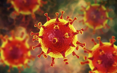 coronavirus.jpg