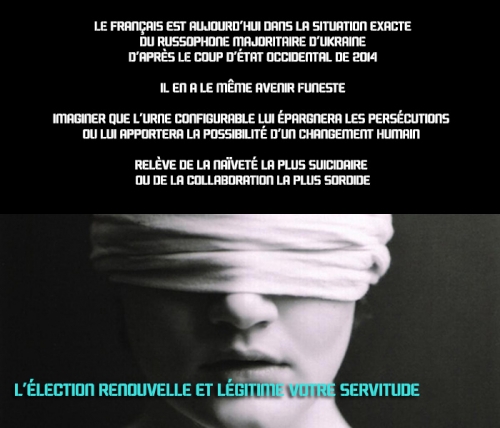 illusion électorale.jpg